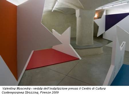 Valentina Muscedra - veduta dell’installazione presso il Centro di Cultura Contemporanea Strozzina, Firenze 2009