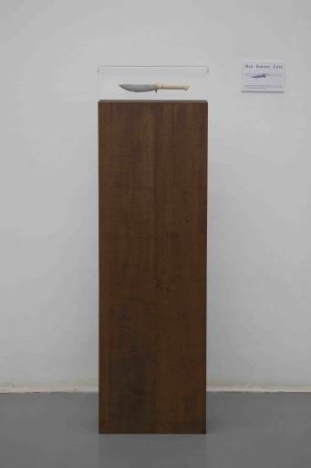 fino al 9.I.2009 | Piero Golia | Napoli, Galleria Fonti