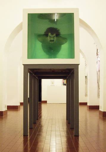 fino al 27.II.2010 | David Cerny | Roma, Galleria CO2