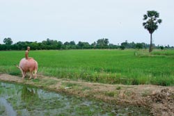 Prosegue l’attività espositiva di Casa Masaccio con l’esposizione di giovani artisti dell’Asia Orientale e Sud-Orientale