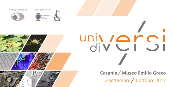 Dal 2 settembre a Catania gli artisti dell’Associazione Archivi Ventrone