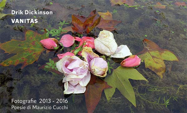 DRIK DICKINSON. VANITAS Fotografie 2013 – 2016