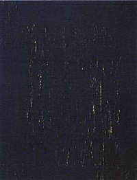 Luca Brandi, Itoman, Acrilico su lino, 2001, 120x150 cm