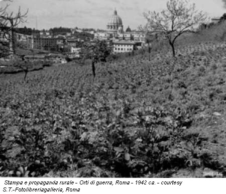 Stampa e propaganda rurale - Orti di guerra, Roma - 1942 ca. - courtesy S.T.-Fotolibreriagalleria, Roma