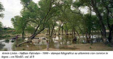 Armin Linke - Hattian Pakistan - 1999 - stampa fotografica su alluminio con cornice in legno - cm 50x60 - ed. di 5