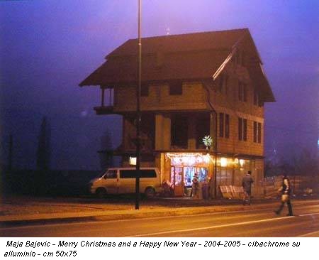 Maja Bajevic - Merry Christmas and a Happy New Year - 2004-2005 - cibachrome su alluminio - cm 50x75