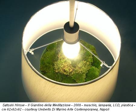 Satoshi Hirose - Il Giardino della Meditazione - 2008 - muschio, lampada, LCD, plastica - cm 62x62x62 - courtesy Umberto Di Marino Arte Contemporanea, Napoli