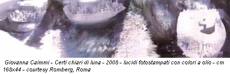 Giovanna Caimmi - Certi chiari di luna - 2008 - lucidi fotostampati con colori a olio - cm 168x44 - courtesy Romberg, Roma