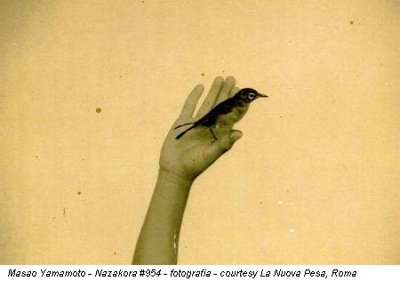 Masao Yamamoto - Nazakora #954 - fotografia - courtesy La Nuova Pesa, Roma