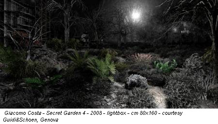 Giacomo Costa - Secret Garden 4 - 2008 - lightbox - cm 80x160 - courtesy Guidi&Schoen, Genova