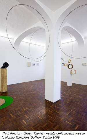 Ruth Proctor - Stolen Thuner - veduta della mostra presso la Norma Mangione Gallery, Torino 2009
