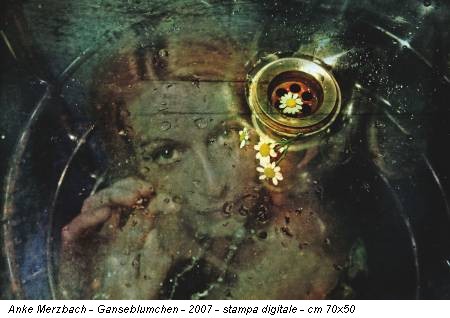 Anke Merzbach - Ganseblumchen - 2007 - stampa digitale - cm 70x50