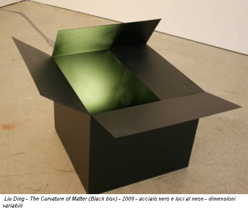 Liu Ding - The Curvature of Matter (Black box) - 2009 - acciaio nero e luci al neon - dimensioni variabili