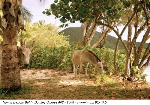 Nanna Debois Buhl - Donkey Studies #02 - 2008 - c-print - cm 90x59,5