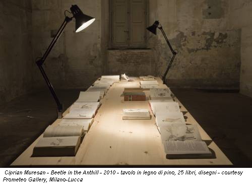 Ciprian Muresan - Beetle in the Anthill - 2010 - tavolo in legno di pino, 25 libri, disegni - courtesy Prometeo Gallery, Milano-Lucca