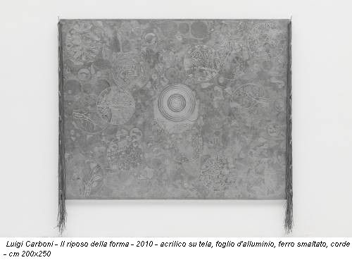 Luigi Carboni - Il riposo della forma - 2010 - acrilico su tela, foglio d'alluminio, ferro smaltato, corde - cm 200x250