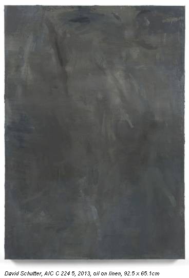 David Schutter, AIC C 224 5, 2013, oil on linen, 92.5 x 65.1cm