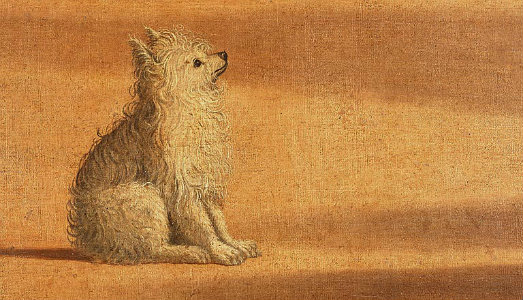 Il cane, maestro di vita e di arte. Se ne parlerà a Palazzo Grassi