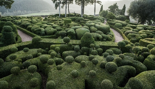 I giardini di Mario Del Curto