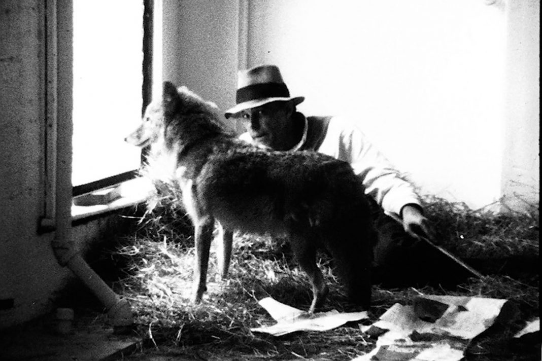 La Germania Si Prepara A Festeggiare Il Centenario Di Joseph Beuys