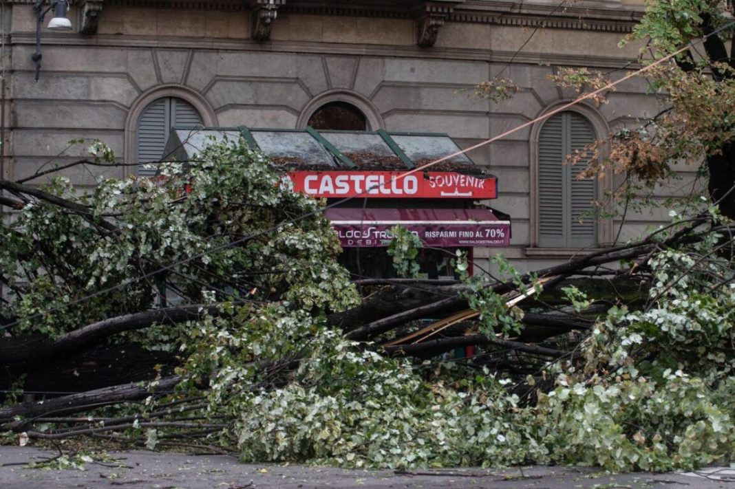 milano alberi caduti bando