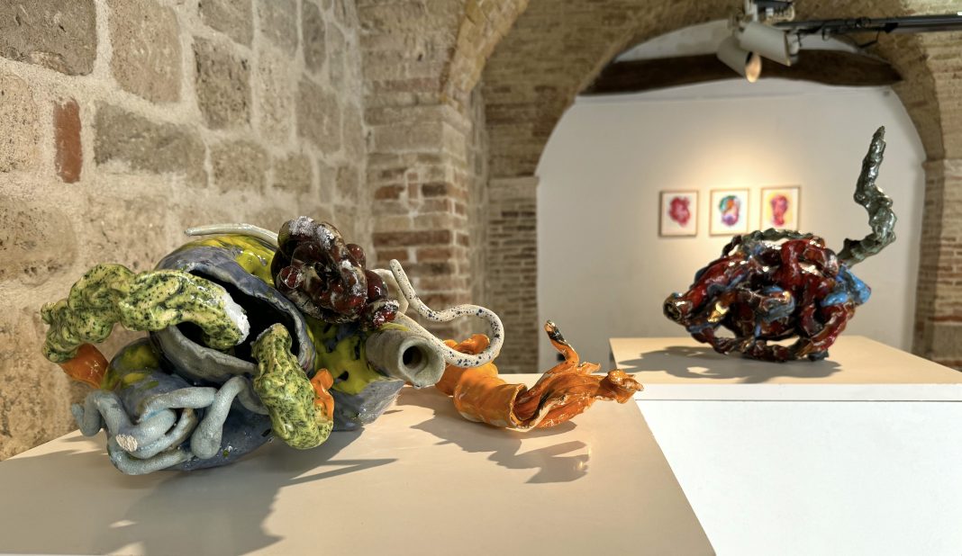 Sabino de Nichilo, Virus, veduta della mostra ad Ascoli Piceno per il Premio Sparti, 2024