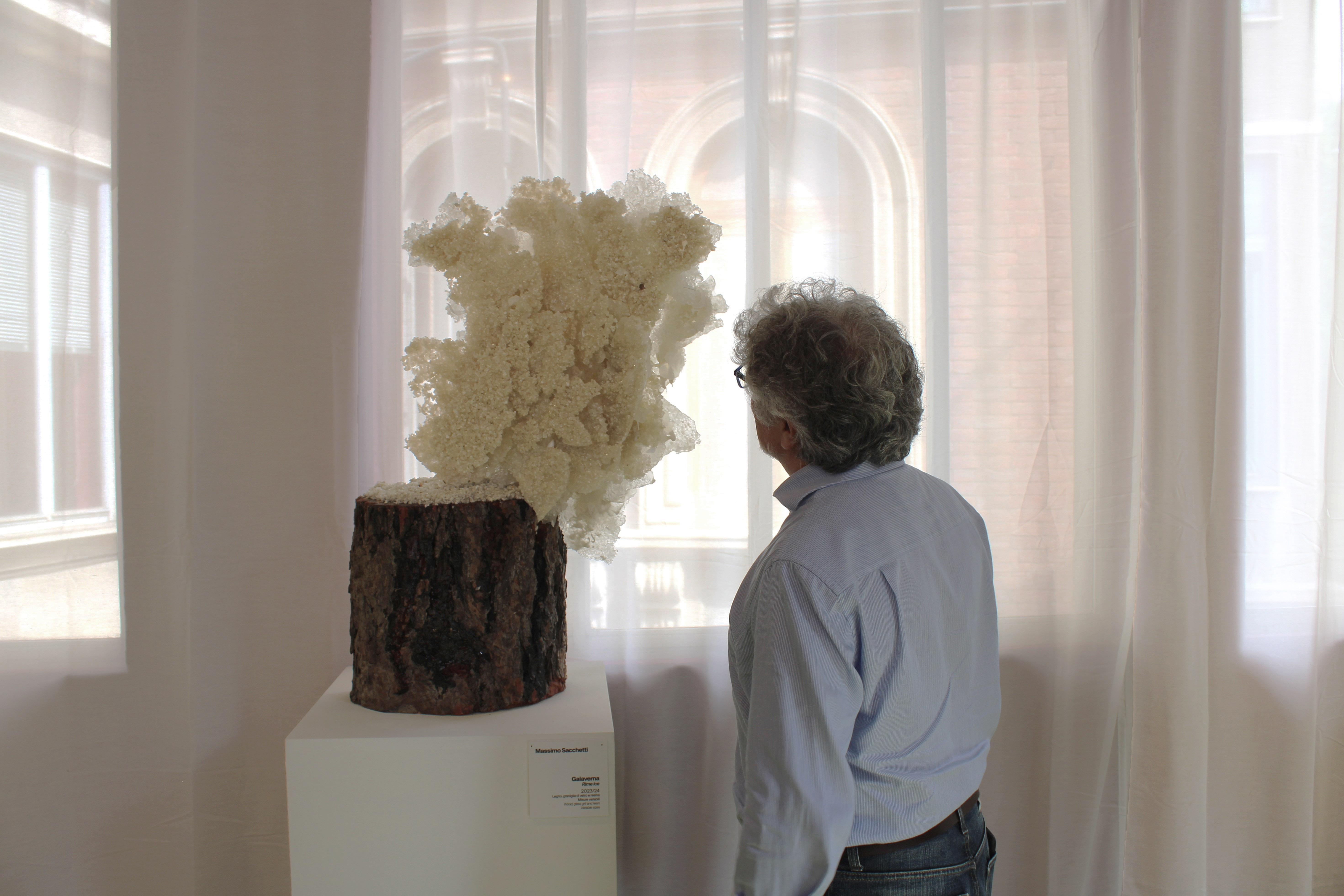 Massimo Sacchetti, Galaverna, veduta della mostra, Flashback Habitat, Torino, 2024
