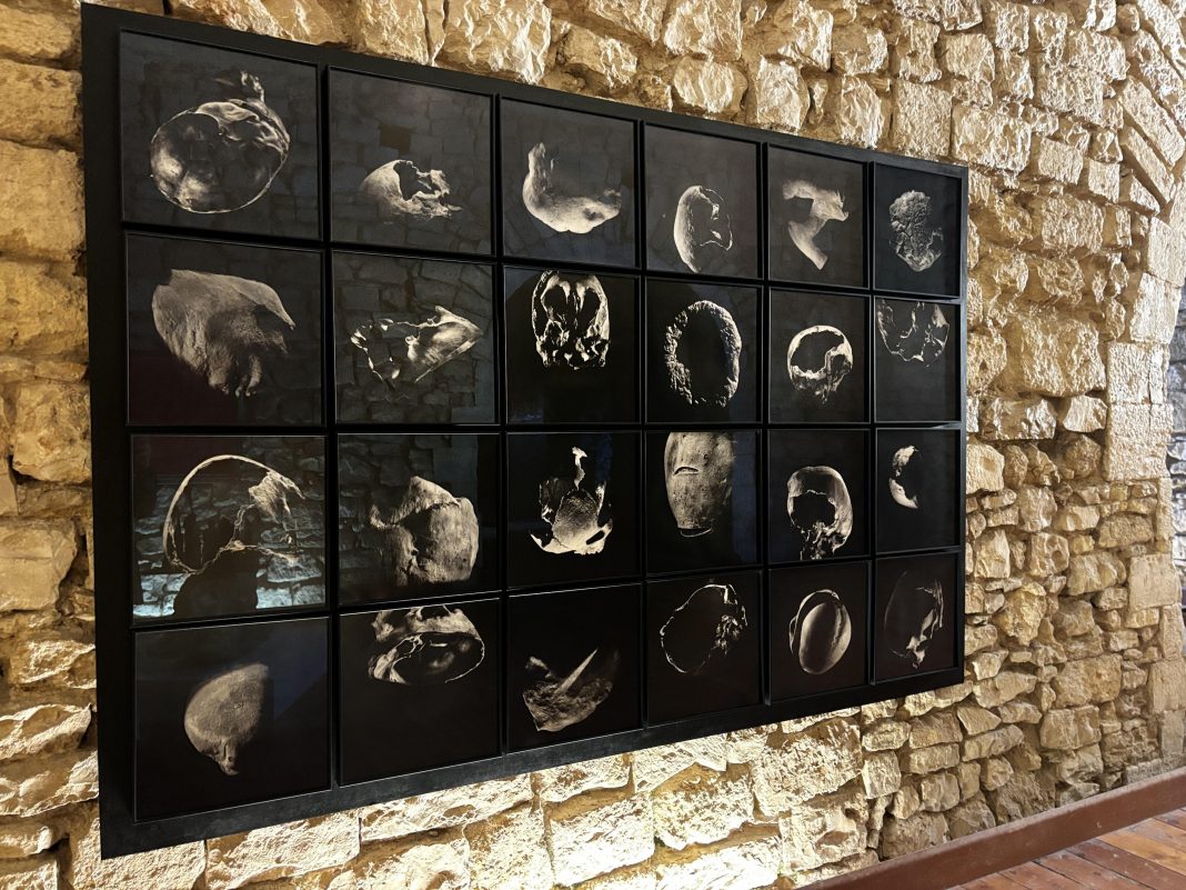 Cornerstones mostra castello barletta