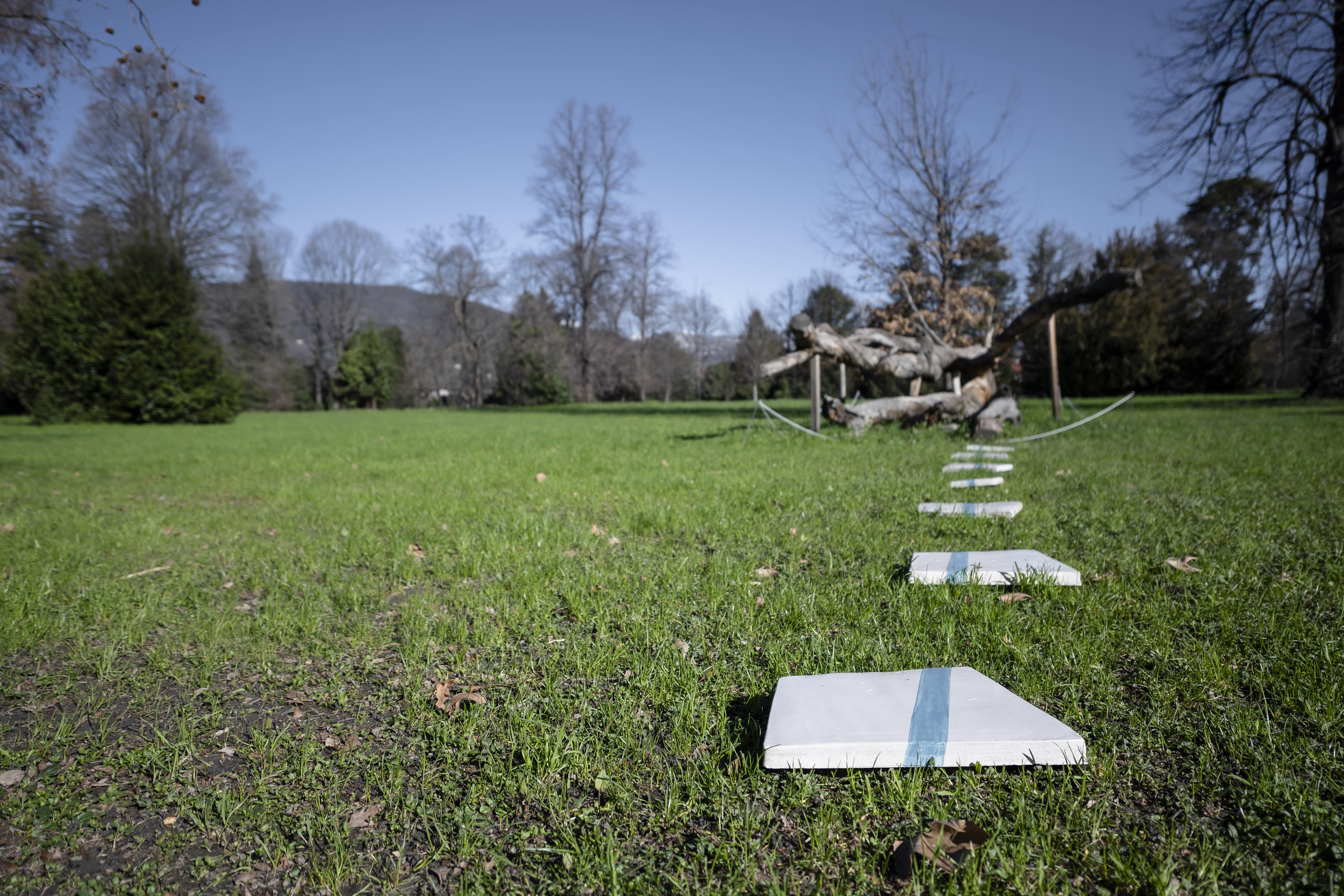 Giorgio Griffa, Una linea, Montale e qualcos’altro veduta della mostra, Castello di Miradolo, 2024, ph. Paolo Mantovan