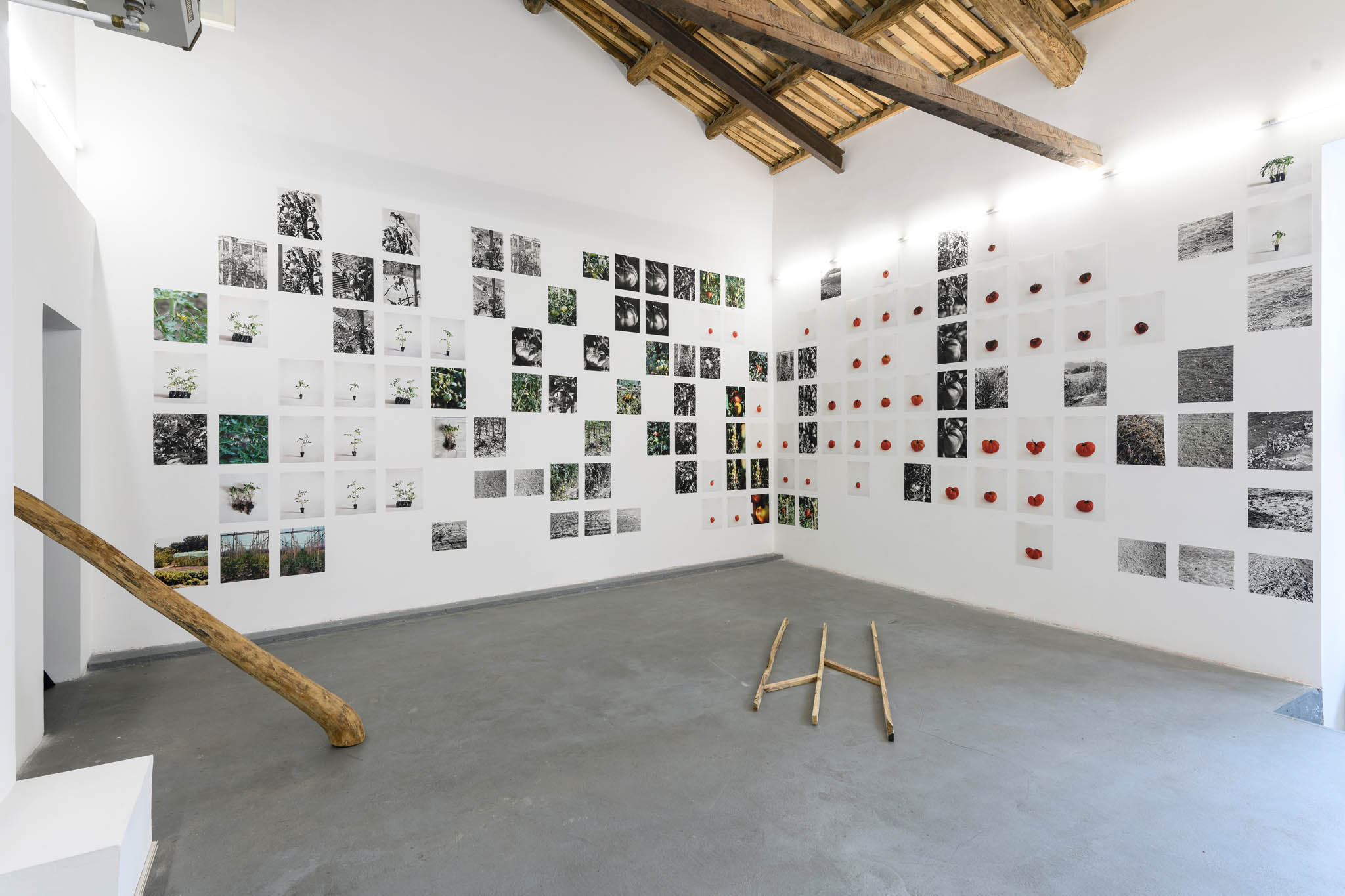 Judit Bou, Marta R Chust and Roc Domingo Puig, Albert Gironès, Laura Palau La forma solida del paesaggio (The Solid Form of Landscape), AlbumArte 2024, veduta della mostra, photo by Giorgio Benni, courtesy AlbumArte