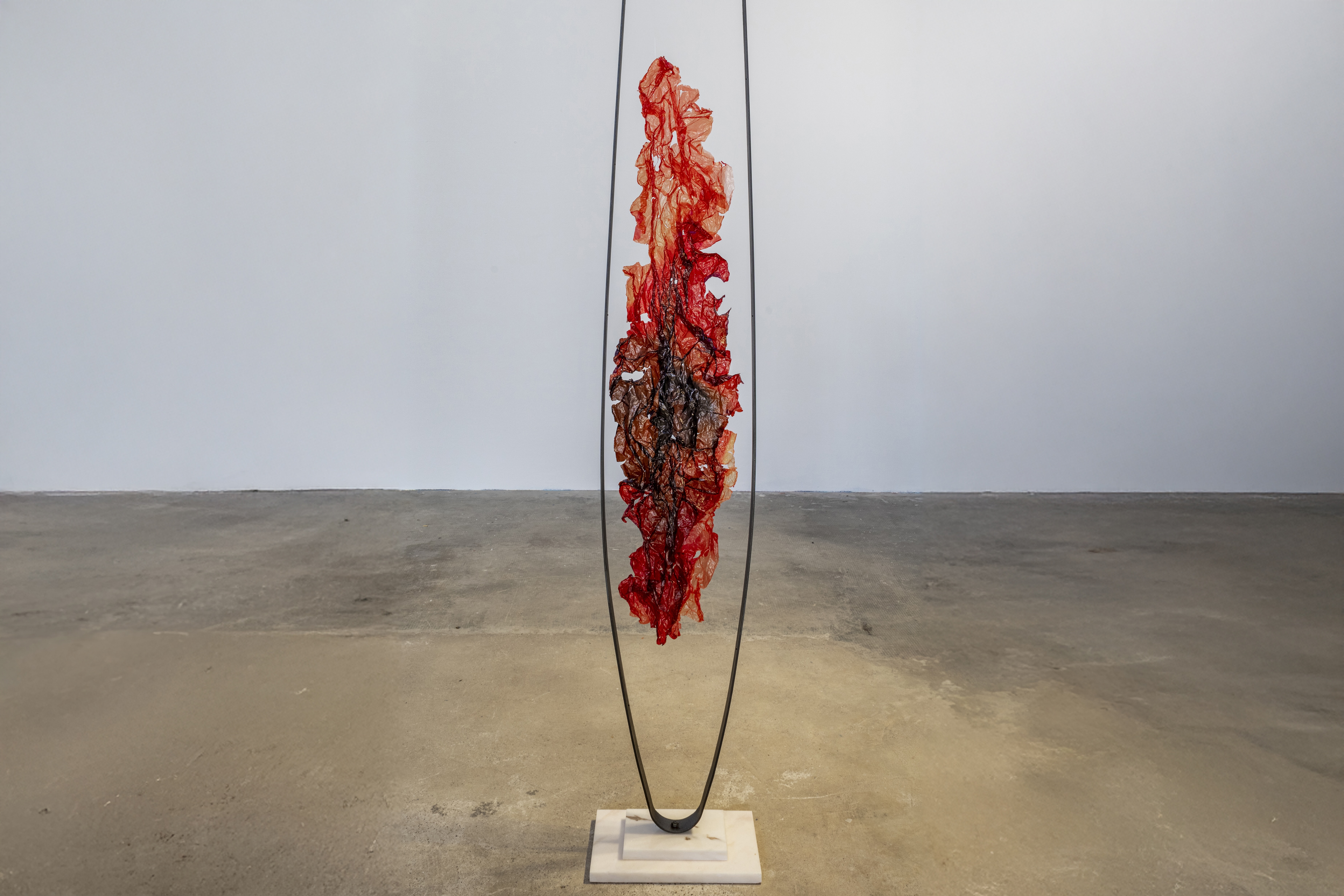 Marco Vignati, Sheer Pulses, Veduta della mostra, Galleria Lampo Milano, 2024