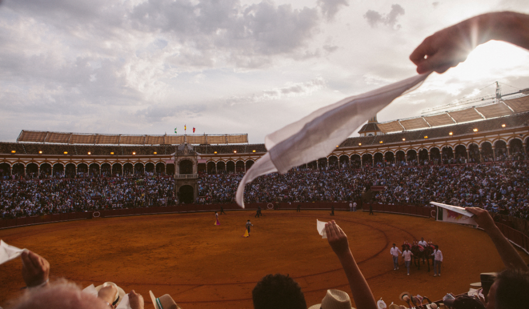 Tardes de soledad, Afternoons Of Solitude, Albert Serra, Spanien/Frankreich/Portugal 2024, V'24 Features