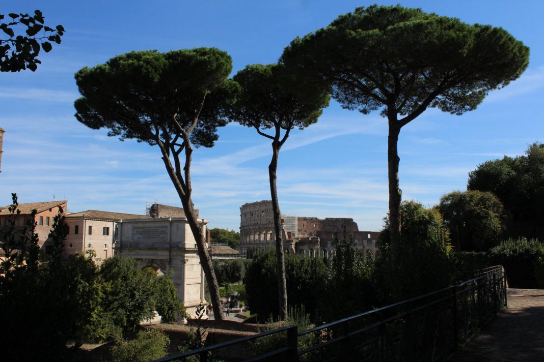 colosseo patrimonio naturale