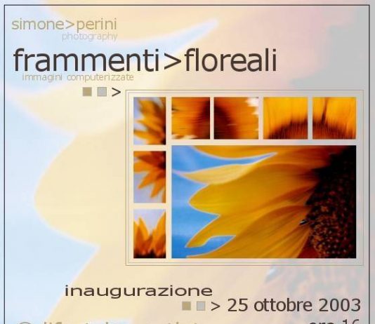 Simone Perini – Frammenti floreali