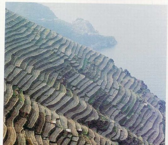 Le Cinque Terre di Sergio Fregoso