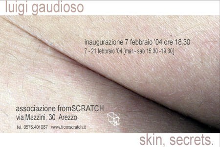 Luigi Gaudioso –  skin, secrets