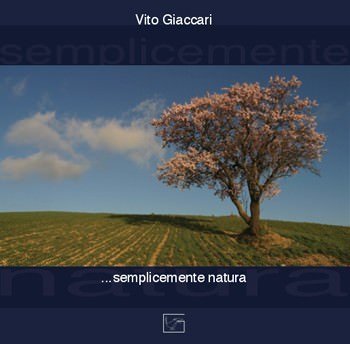 Vito Giaccari – Due geometrie mai casuali