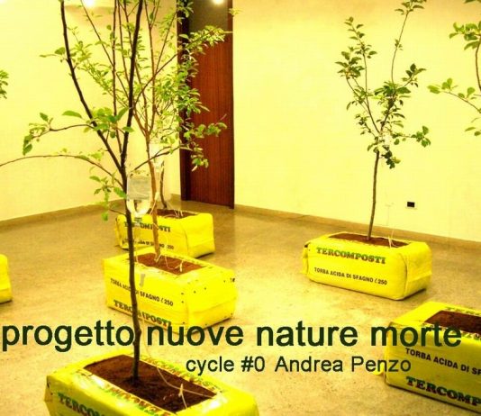 Nuove Nature Morte #1 – Andrea Penzo