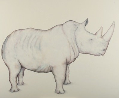 Guido Marchesi – E i suoi rinoceronti