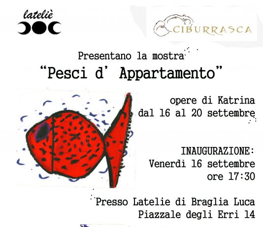 Katrina  – Pesci d’appartamento