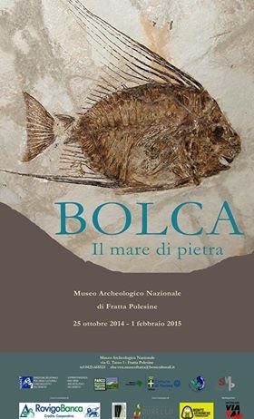 Bolca.  Il mare di pietra