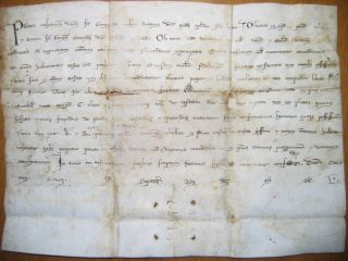 Pergamena del 1250 riportante la concessione della costruzione delle mura conservata nell'archivio comunale di San Ginesio (MC)