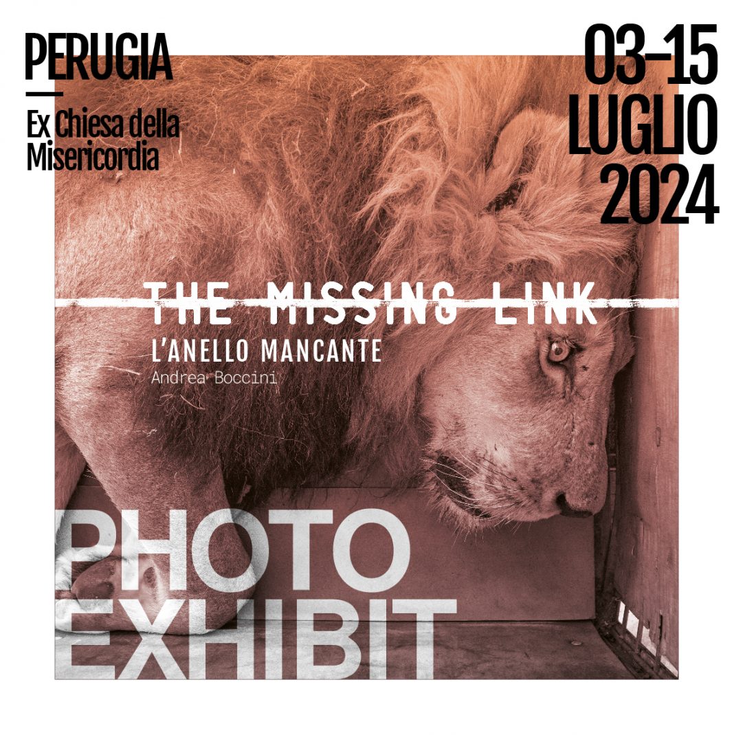 Andrea Boccini – The Missing Link Photo Exhibithttps://www.exibart.com/repository/media/formidable/11/img/0a1/Perugia-Exibit-Flyer_IG2-1068x1069.jpg