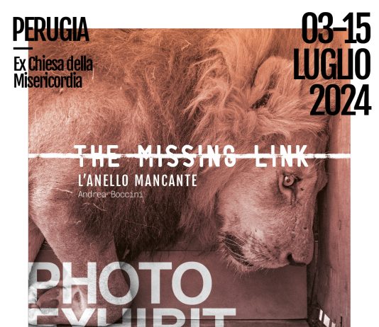 Andrea Boccini – The Missing Link Photo Exhibit
