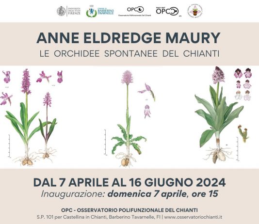 ANNE ELDREDGE MAURY – Le Orchidee spontanee del Chianti