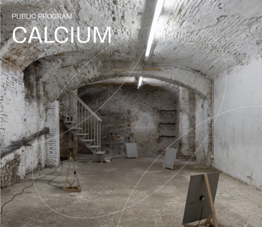 CALCIUM | Public Program