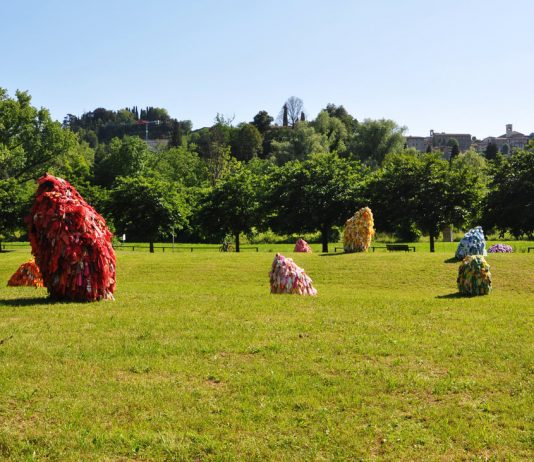 LAND ART | OPERA PARTECIPATA di e con LISA MARTIGNONI