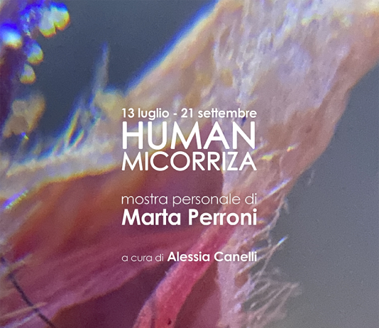 Marta Perroni – Human Micorriza
