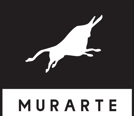 25 anni di Murarte