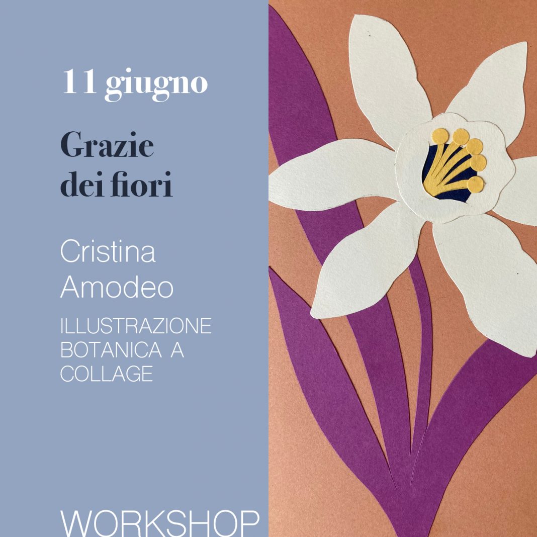 Cristina Amodeo – Workshop di illustrazione botanica a collagehttps://www.exibart.com/repository/media/formidable/11/img/82a/2023_WS-AMODEO-1068x1068.jpg
